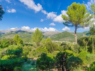 Villa Moscari Environnement 43