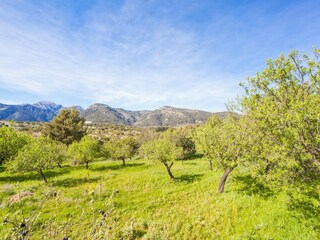 Villa Moscari Omgeving 42