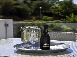 Villa Elviria  35