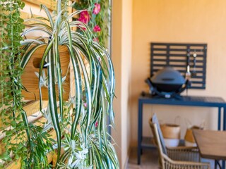 Apartment San Pedro de Alcantara  34