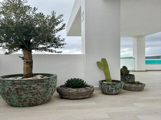 Apartment Casares  48