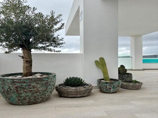 Apartment Casares  48