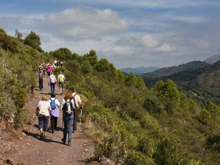 Apartment Casares Umgebung 24