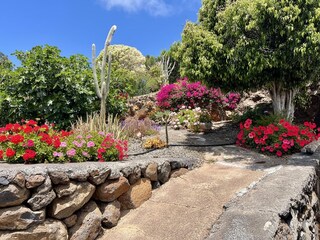 Ferienhaus Puntagorda Außenaufnahme 5