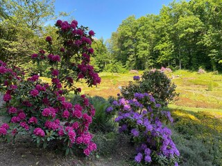 Apartment Saarbrücken Umgebung 16