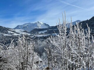 Parc de vacances Megève Environnement 18