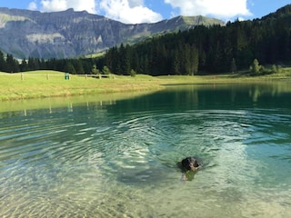 Parque de vacaciones Megève Entorno 27