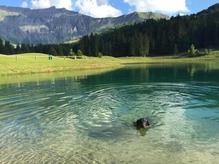 Ferienpark Megève Umgebung 32