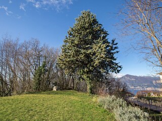 Villa San Zeno di Montagna Umgebung 15