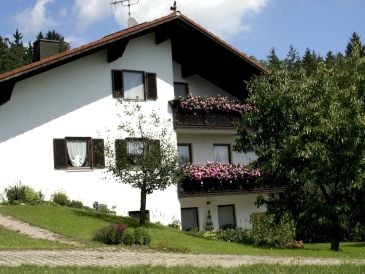 Holiday apartment Countryhouse Hoisl