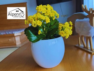 Alpen Lodge foto new.zip - 7