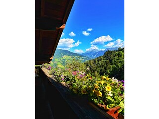 IMG_0044