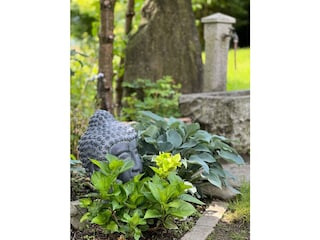 Little Hideaway im Zilltertal