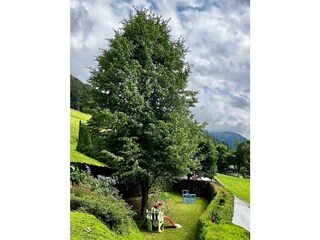 39b005fe-2068-4a07-aba2-6d83063d6c49