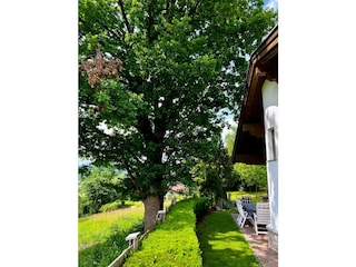 7183baa3-0c9c-4774-b8b5-0eb27b4722ae