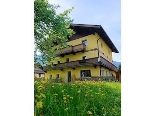 Frühling