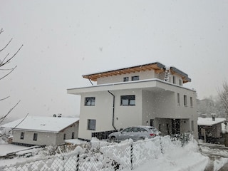 Hauswinter