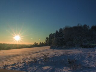 Ausblick Richtung Wald