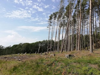 Vakantiehuis Havstenssund  29