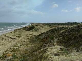 Vakantiehuis Læsø  35