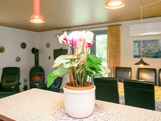 Vakantiehuis Læsø  10