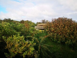 Ferienhaus Stauning  19