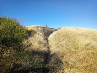 Ferienhaus Stauning  31