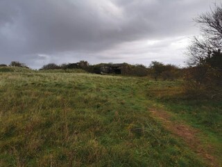 Vakantiehuis Stauning  12