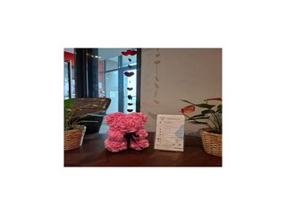 Vakantiepark Fresnes  25