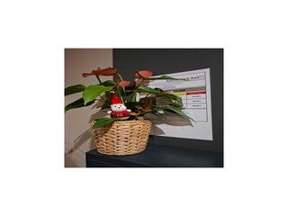 Ferienpark Fresnes  22