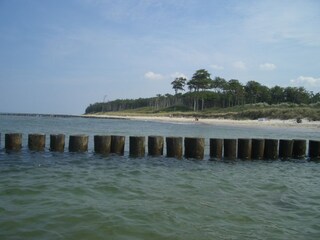 Ostseestrand und Küstenwald