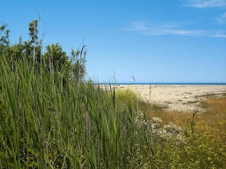 Vakantiepark Ghisonaccia  30