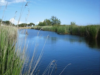 Vakantiepark Ghisonaccia  29