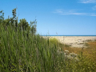 Vakantiepark Ghisonaccia  30