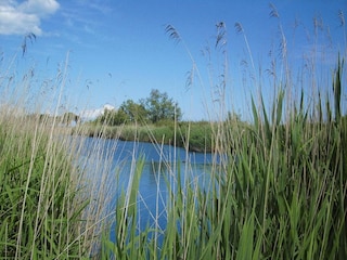 Holiday park Ghisonaccia  30