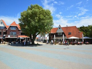 Apartment Dishoek Umgebung 13