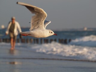 Appartamento Dishoek Ambiente 20