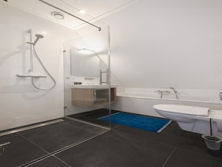 Parco vacanze Delfstrahuizen Caratteristiche 17