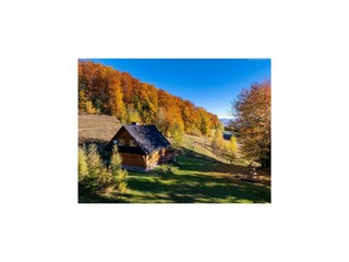 Vakantiehuis Malý Lipník Buitenaudio-opname 4