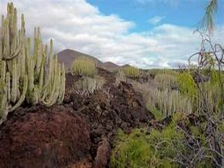 Holiday park Candelaria, Teneriffa Environment 17