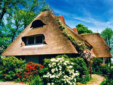 Ferienwohnung Friesenwohnung
