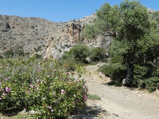 Schlucht Agio Farago