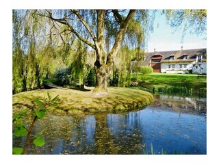 Holiday house Verdun-sur-le-Doubs Environment 18