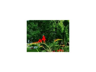 Holiday house Verdun-sur-le-Doubs Environment 23