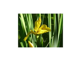 Holiday house Verdun-sur-le-Doubs Environment 26