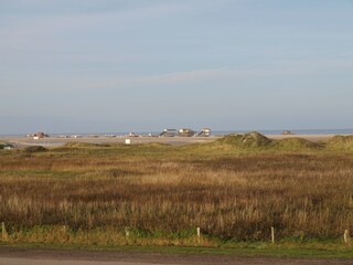 Dünenlandschaft