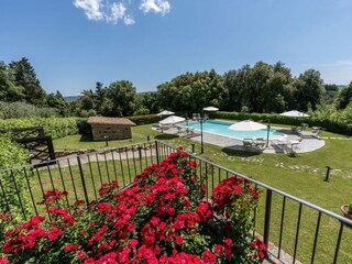 Shared pool and garden
