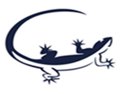 Company GECO - S.R.L.