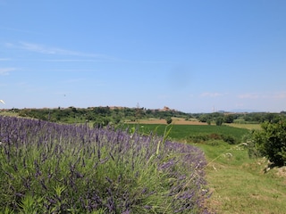 Ferienpark Montalto Di Castro Außenaufnahme 10