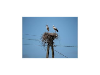 Vakantiehuis Pobierowo Buitenaudio-opname 7